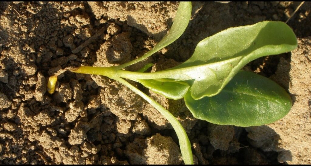 screenshot 20260228 143352 chatgpt