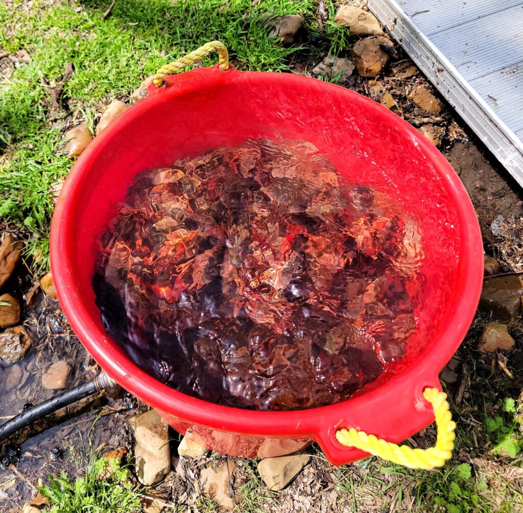 Easy Crawfish Boil for Beginners 20250330 120403 01